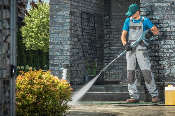 Best Soft Washing  in Kelseyville, CA